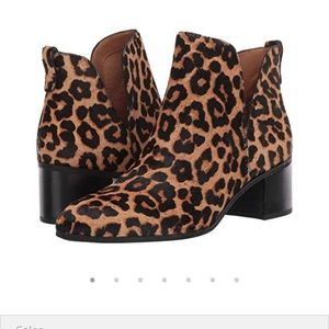 franco sarto reeve 2